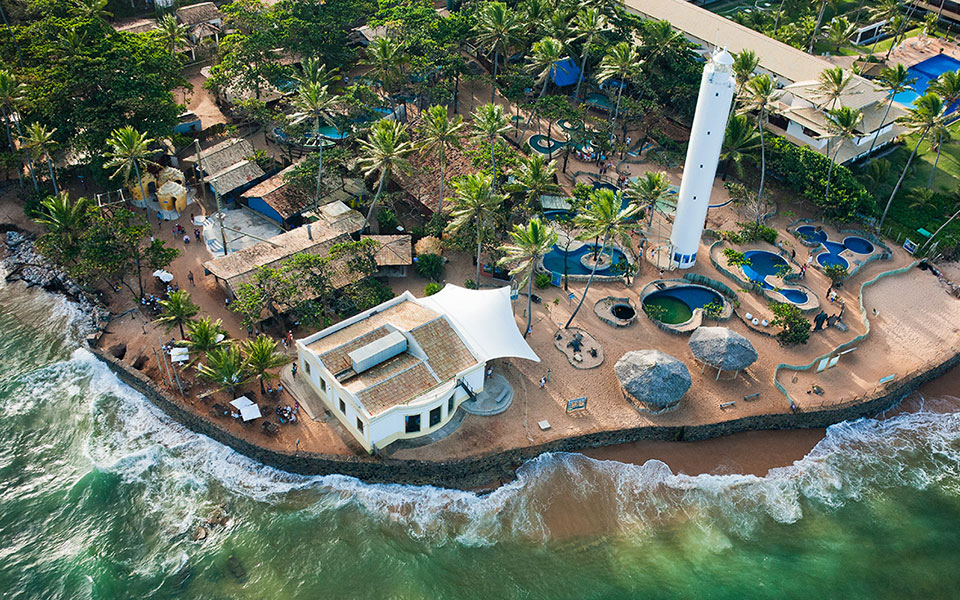Praia do Forte + Guarajuba | Bate Volta