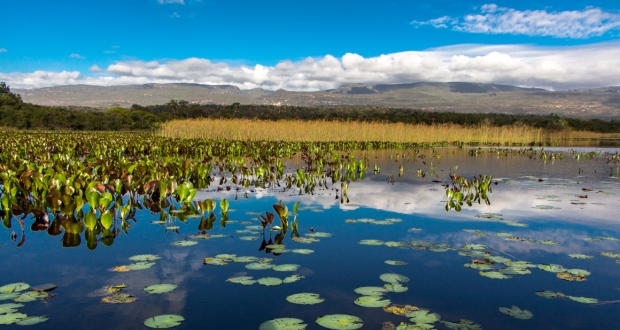 Chapada Diamantina | Andaraí + Igatú