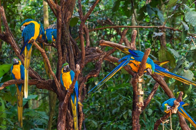 Foz do Iguaçu + Paraguai + Argentina - Aéreo (Só 20 Vagas)