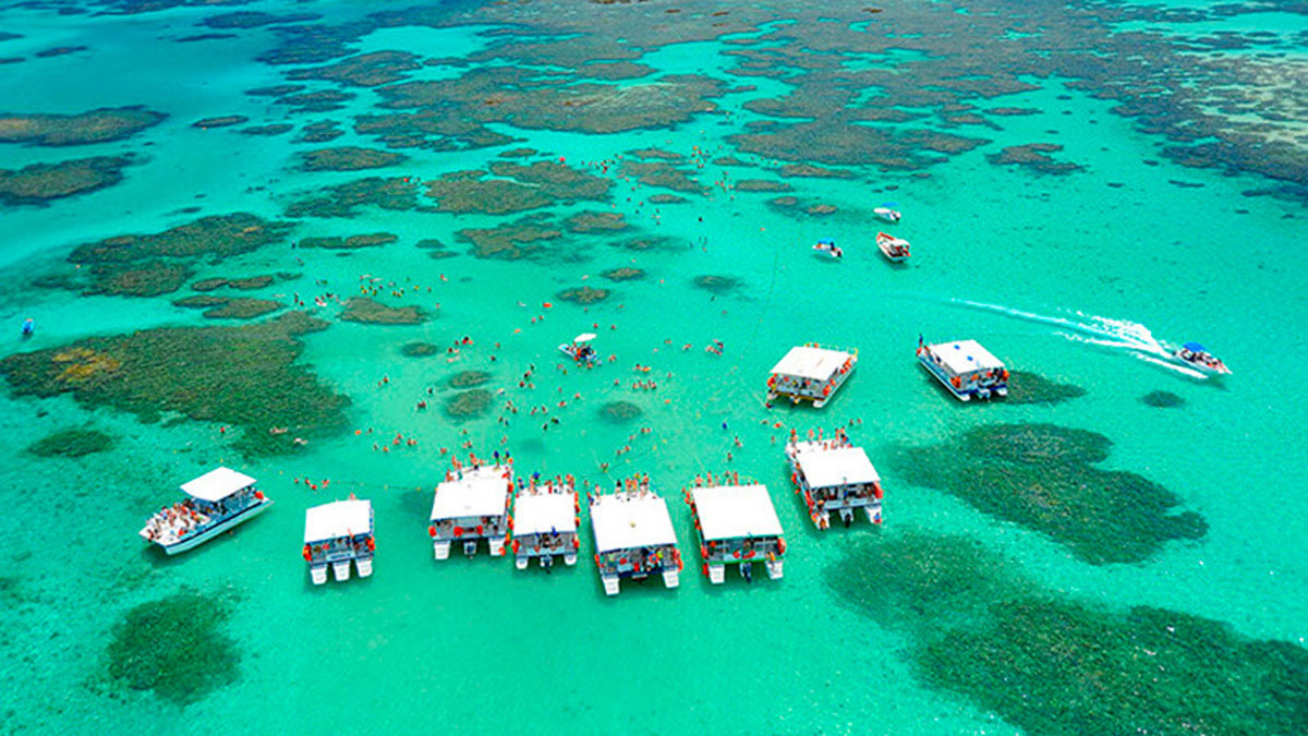 Porto de Galinhas-PE + Maragogi-AL