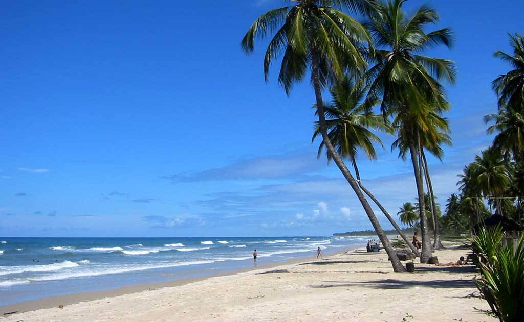 Ilhéus + Fazenda de Cacau + Praias de Serra Grande