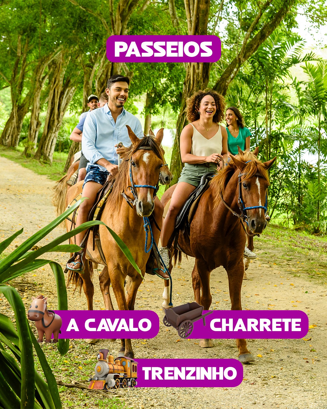 Aracaju/SE + Fazenda Boa Luz + CityTour + Teleférico