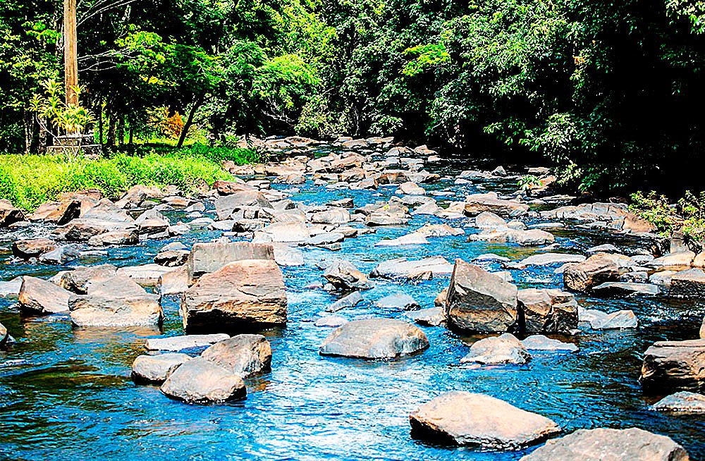 Cachoeiras do Tremembé - Costa do Dendê | Bate Volta