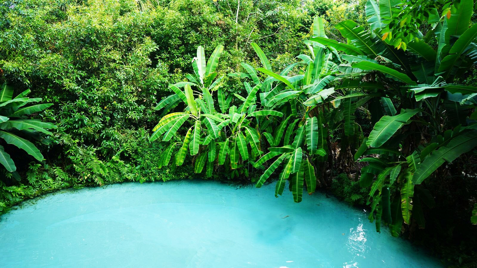 Jalapão/Tocantins - Aéreo (Só 15 Vagas)