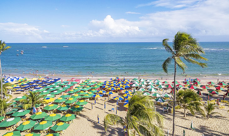 Praia do Forte + Guarajuba | Bate Volta