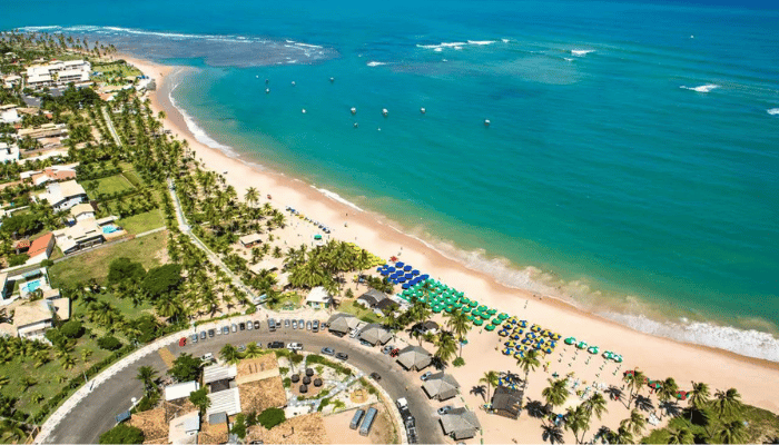 Praia do Forte + Guarajuba | Bate Volta