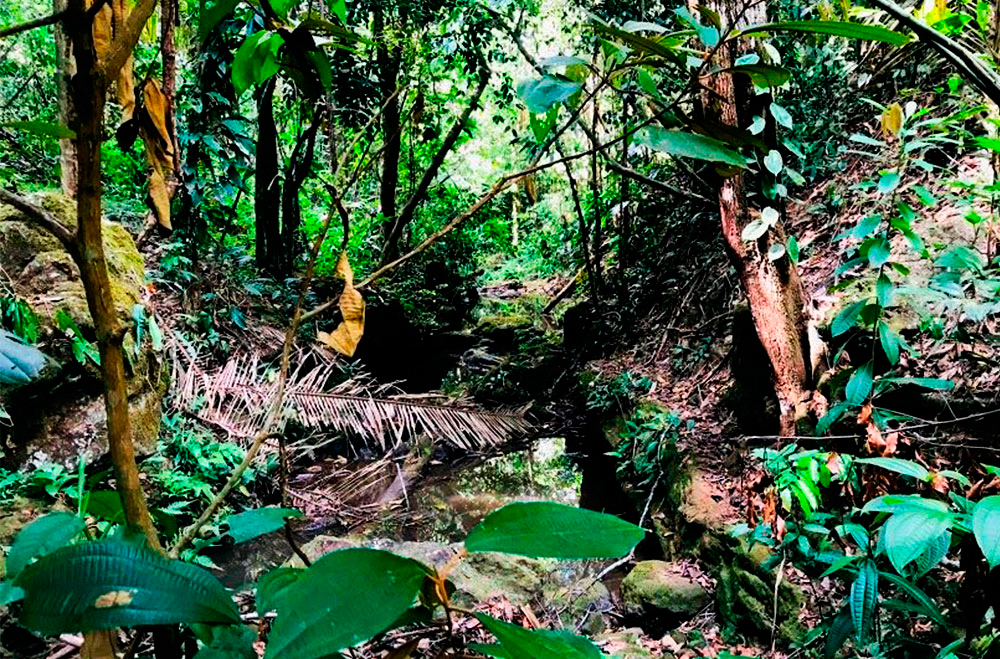 Cachoeira do Urubu | Bate Volta -